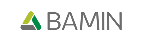 BAMIN